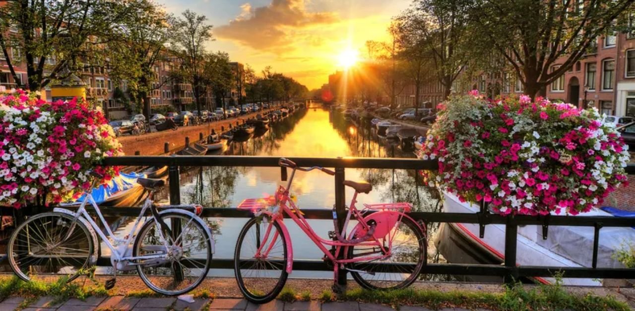 Norse Atlantic Airways Amsterdam Office in Netherlands